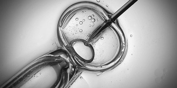 In Vitro Fertilization with syringe